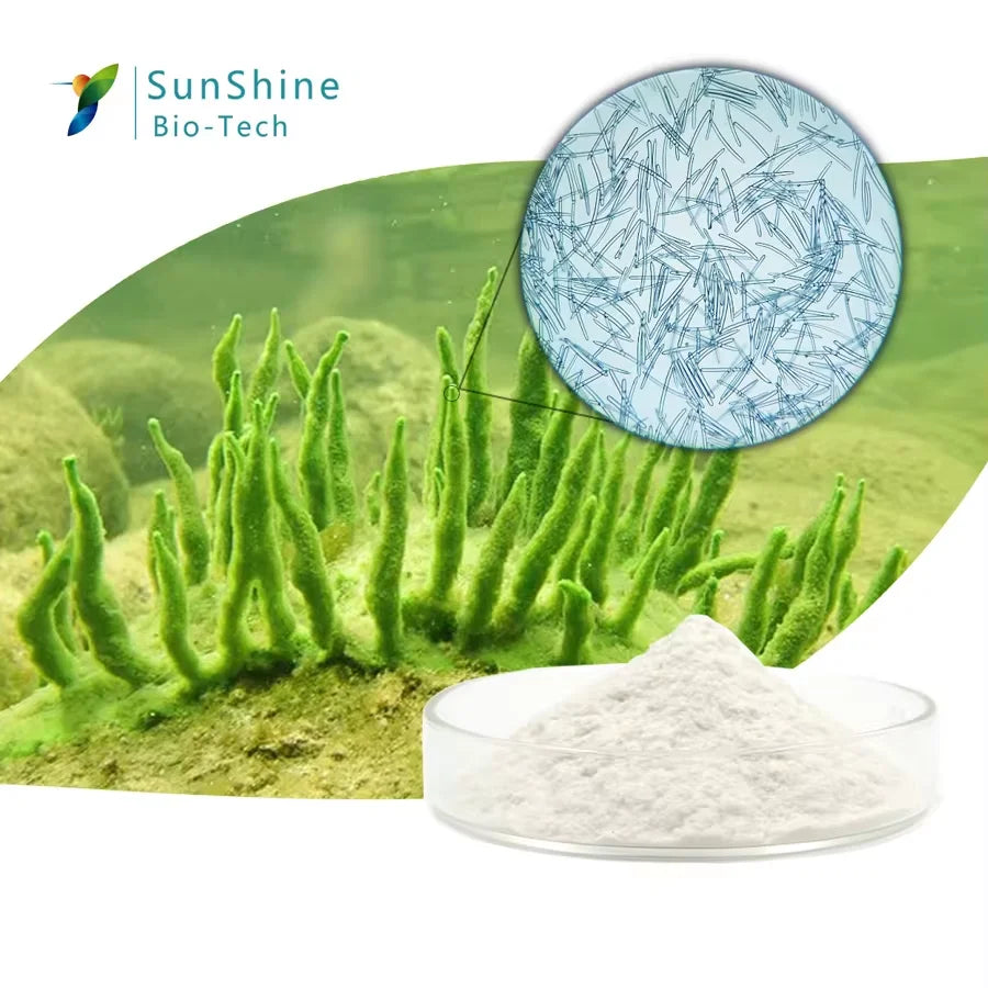 Algae Peeling Whitening Melasma Peel Kit Natural Seaweed Bone Plant Extract Mask Rejuvenation Moisturize Facial Skin Care
